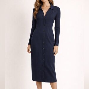 Madewell Button-Down Midi Dress